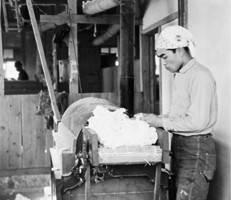 工場内での製綿作業風景